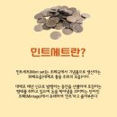 주화 제테크 도전해보기 한국조폐공사 2024년 현용주화 구매 후기!