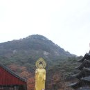 속리산 법주사 이미지