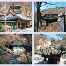 관고동-03 Daum카페
