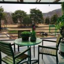 아이드림펫 이미지