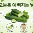 순애농장 이미지