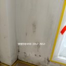 가경아이파크1단지 | 청주 가경아이파크 1단지 탄성코트 시공으로 곰팡이 제거하고 입주해요