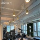 테리스짐 이미지