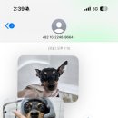 젤리펫살롱 with 아로마 이미지