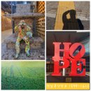 아레나한의원 이미지