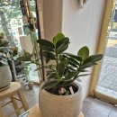 파리바게뜨 포항유강점 이미지