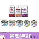 윤펫
