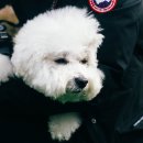 멍스토리 이미지