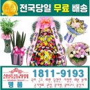 샬롬플라워 - 강동구 양재대로134길 29 | 샬롬플라워
