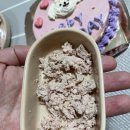 충주대림초 | 충주애견간식 멍냥잡화점 강아지케이크로 댕댕이와 특별한 추억쌓기