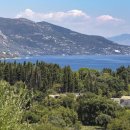 펫사랑일산점 이미지