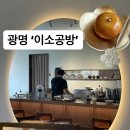 판다이소 이미지