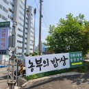 농부의밥상속초점 이미지