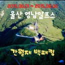 (주)만냥