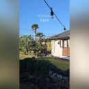 한동곶길 이미지