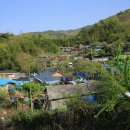 개랭이고들빼기마을 이미지