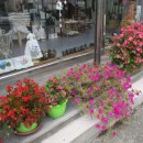 꽃그림 천아트 이미지