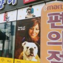 장보는 강아지와 고양이 의정부서부점 이미지