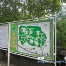 오행약국 이미지