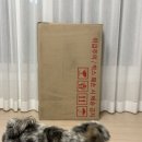 하이우드 | [Item] 스토케 트립트랩 하이체어 와일드우드 선물받은 후기🤍 하이체어 추천