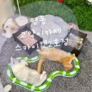 스카이캣명동2호점 이미지