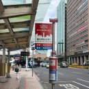 대만 타이베이 여행 Sightseeing Bus 시티투어버스 장단점 실제 후기