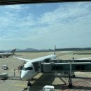 양성아시아마트 | 2025 MPK 한-독일 인재양성 플랫폼 - 생존준비(1)