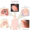 레푸스송탄점 이미지