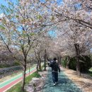 서울 강남구 매헌시민의 숲(여의천) 여행. 이미지