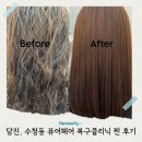주정차76 | 당진 퓨어헤어 수청동미용실 복구클리닉 찐 후기 비포애프터 차이 대박
