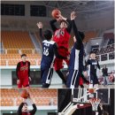 줄리엔 강 카카오 검색결과