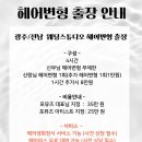 포뮤즈헤어