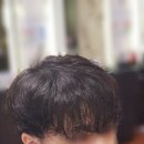 파리헤어 네이버블로그