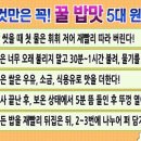 만능전기 이미지