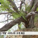 동동로R 이미지