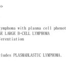 미만성거대? 형질모세포? 아형질문.. 이미지