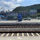 현구목장2 티스토리