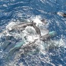 gc-camera-025 이미지