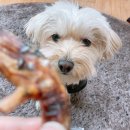 멍이부뚜막 이미지