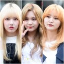 컬러풀헤어 이미지