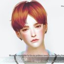 참헤어 이미지