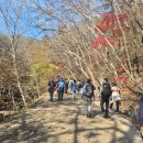 순천만국가정원 습지센터 입체영상관 | 전남 순천시 순천만국제습지, 순천만국가정원 등 가볼 만한 곳