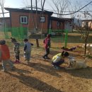 수성그린비 이미지