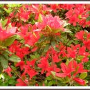 조선대학교병원 이미지