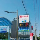 화서 다이소 이미지