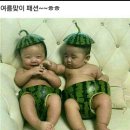 하루 이미지