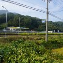 여로주유소 이미지