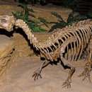 테논토사우루스 이미지