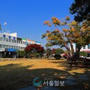 곡성-135 이미지