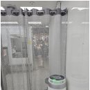 눈썹쟁이 이미지